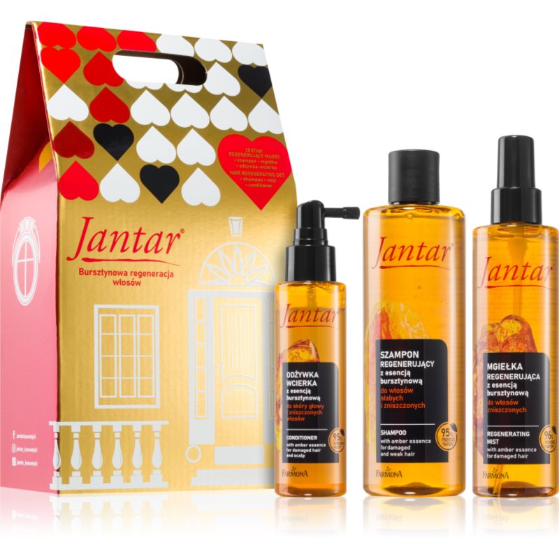 Farmona Jantar Damaged Hair подаръчен комплект За коса 3 бр.