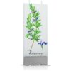 Flatyz Nature Rosemary свещ 6x15 см