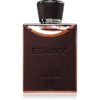 Fragrance World Ebony Scent Intense парфюмна вода за мъже 100 мл.