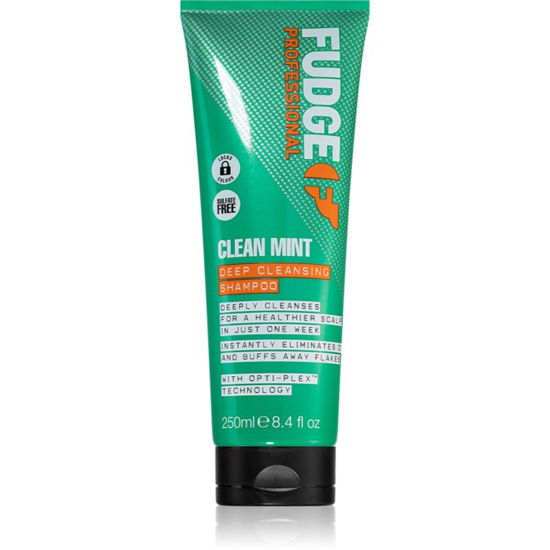 Fudge Clean Mint Shampoo шампоан за мазна коса 250 мл. на ниска цена