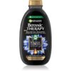 Garnier Botanic Therapy Magnetic Charcoal шампоан за мазен скалп и сухи краища на косата 250 мл.