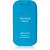 HAAN Hand Care Morning Glory спрей за почистване на ръце с антибактериална добавка 30 мл.