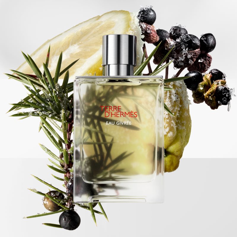 HERMÈS Terre d’Hermès Eau Givrée парфюмна вода за мъже 200 мл. на ниска цена