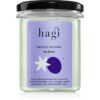 Hagi Plum Picking ароматна свещ 215 мл.
