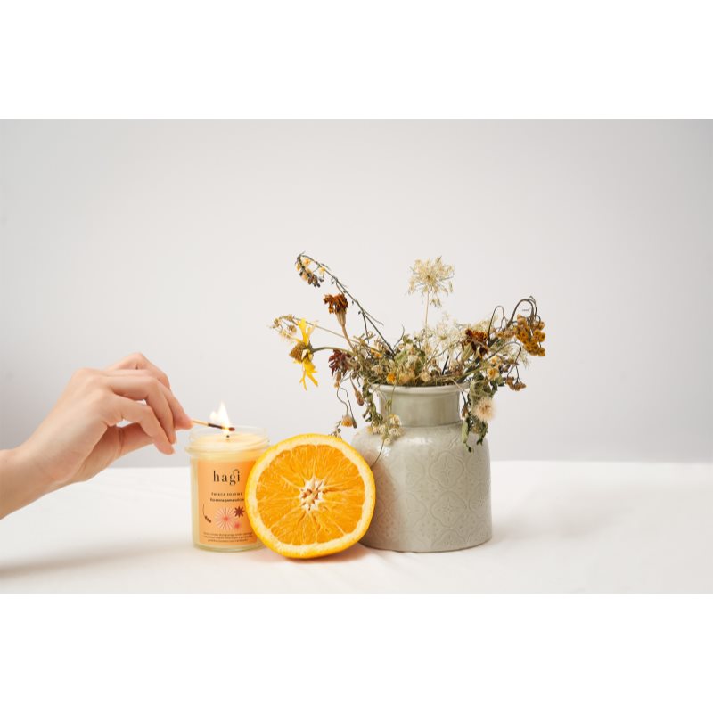 Hagi Spicy Orange ароматна свещ 215 гр. на ниска цена