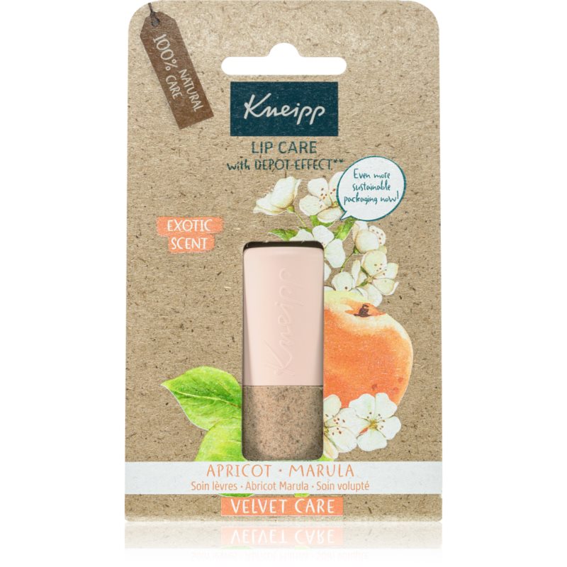 Kneipp Apricot & Marula балсам за устни 4