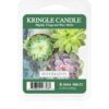 Kringle Candle Succulents восък за арома-лампа 64 гр.