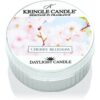 Kringle Candle Warm Cotton чаена свещ 42 гр.