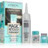 L’Oréal Paris Magic Retouch Permanent тонираща боя за израстнали корени с апликатор цвят 2 BLACK 1 бр.