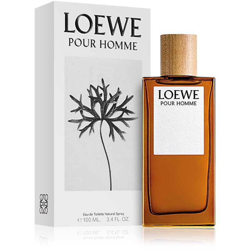 Loewe Loewe Pour Homme тоалетна вода за мъже 100 мл. на ниска цена