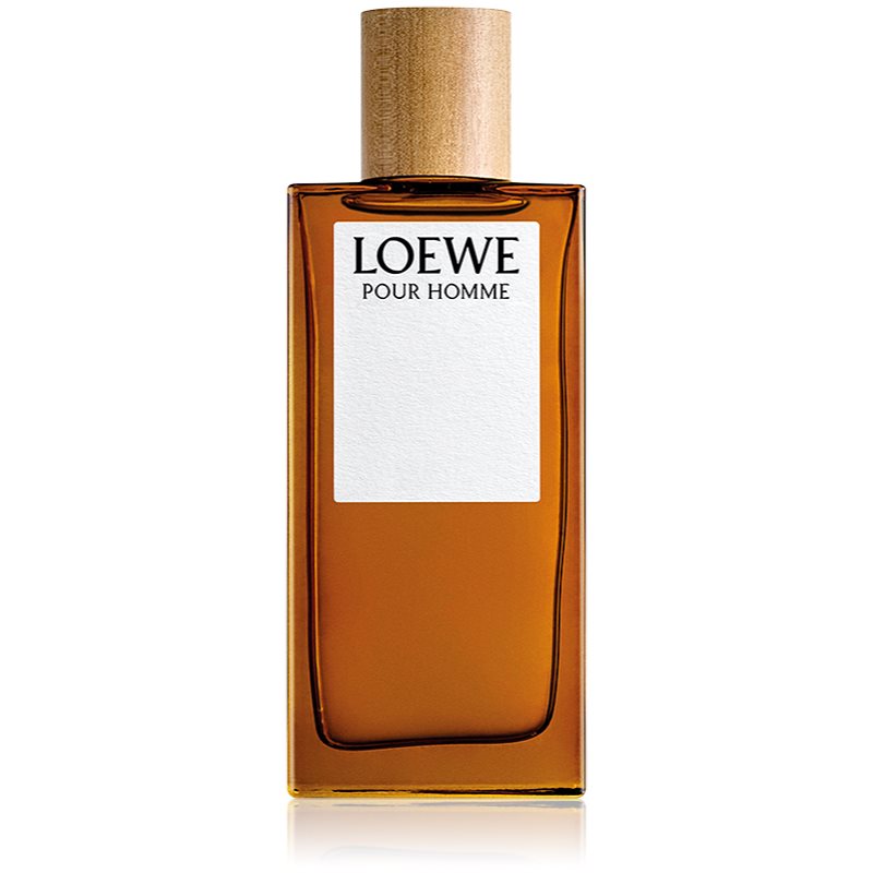 Loewe Loewe Pour Homme тоалетна вода за мъже 100 мл.