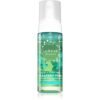 Lumene Deeply Purifying [PUHDAS] пяна за почистване и премахване на грим за смесена и мазна кожа 150 мл.