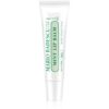 Mario Badescu Mint Lip Balm ултра подхранващ балсам за устни 10 гр.