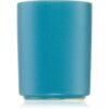Milkhouse Candle Co. Earth & Ember Coastal Cedarwood ароматна свещ 57 гр.