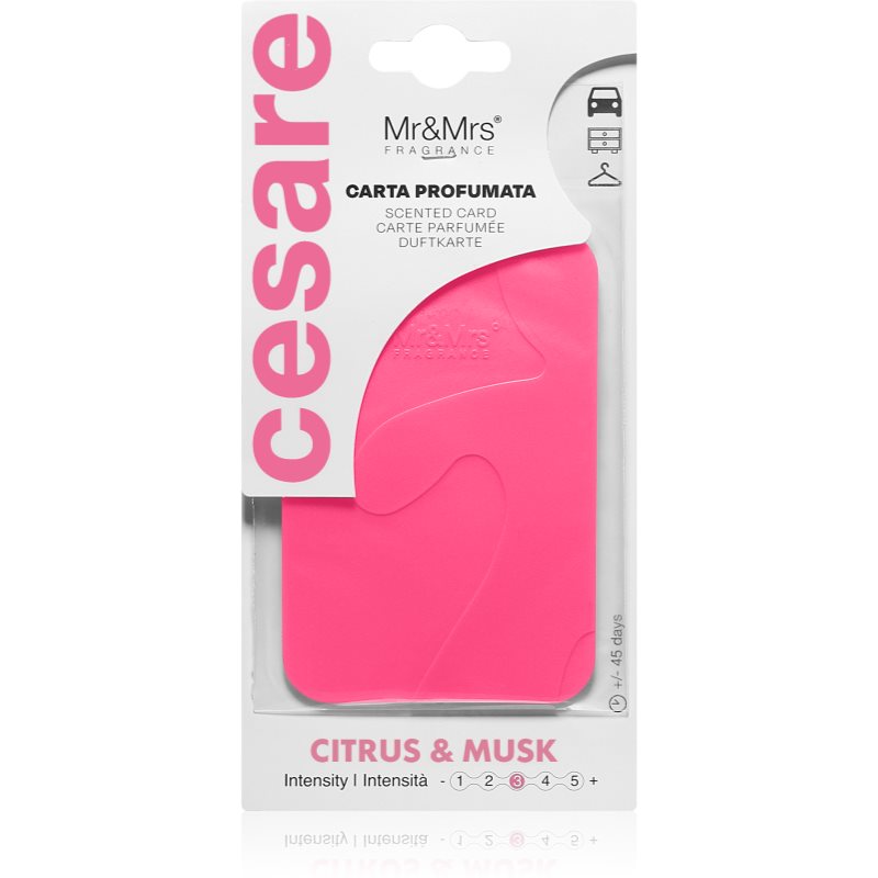 Mr & Mrs Fragrance Cesare Citrus & Musk ароматизирана свещ 1 бр.