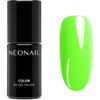 NEONAIL You're a Goddess гел лак за нокти цвят What I Want 7