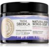 Natura Siberica Taiga Siberica Kamchatka Volcanic Mud оформящ пилинг за тяло 300 мл.