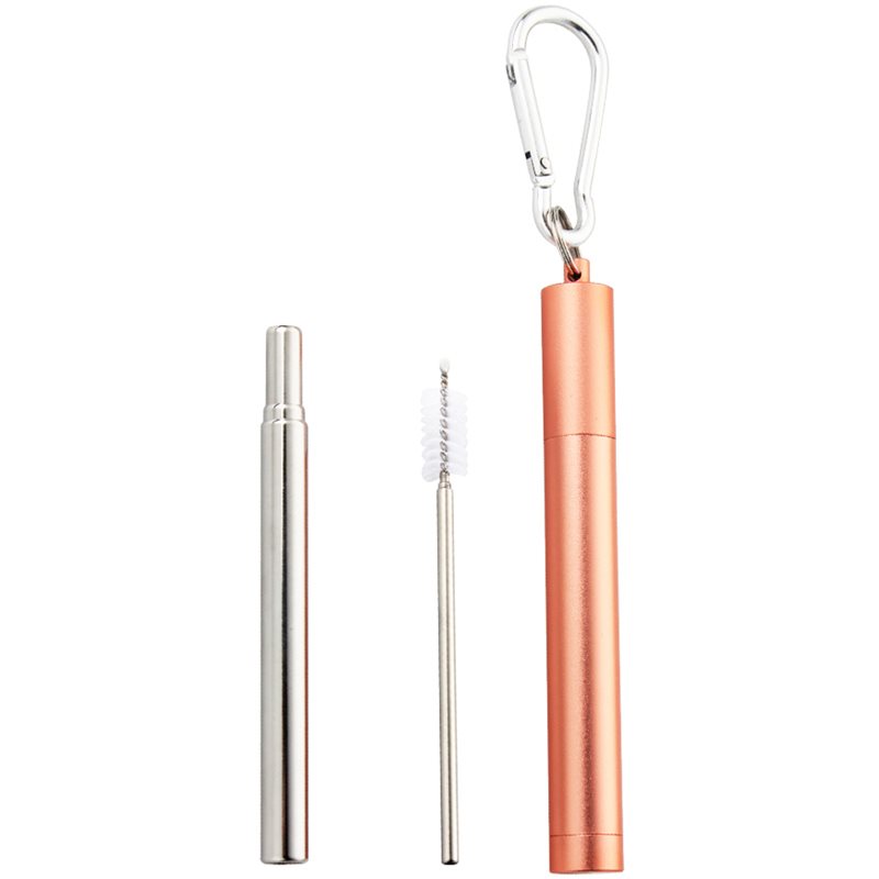 Naturalis Stainless Steel Straw Telescopic комплект за ежедневна употреба