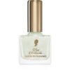 Pani Walewska Nail polish бързозасъхващ лак за нокти цвят No. 21 White Diamond 9 мл.