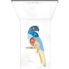 Pupa Parrot палитра от сенки за очи повече нюанси 003 Rio 300 гр.
