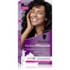 Schwarzkopf Perfect Mousse перманентната боя за коса цвят 200 Black 1 бр.
