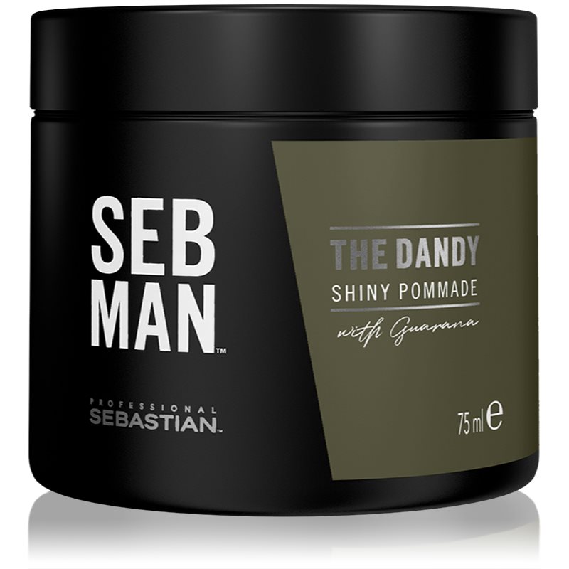 Sebastian Professional SEB MAN The Dandy помада за коса за естествена фиксация 75 мл.