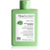 Teaology Hair Matcha Repair Shampoo шампоан за укрепване на косата 250 мл.