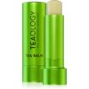 Teaology Tea Balm хидратиращ балсам за устни в тубичка цвят Matcha Tea 4 гр.