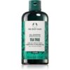 The Body Shop Tea Tree Shampoo шампоан с Tea Tree oil 250 мл.