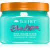 Tree Hut Blue Lagoon захарен скраб за тяло 510 гр.