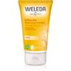Weleda Oat регенерираща процедура за суха и увредена коса 150 мл.