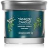 Yankee Candle Bayside Cedar ароматна свещ I. 122 гр.