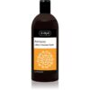 Ziaja Family Shampoo шампоан за боядисана коса 500 мл.