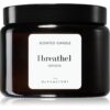 Ambientair The Olphactory Oxygen ароматна свещ (brown) Breathe 360 гр.