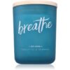 DW Home Zen Breathe ароматна свещ 425 гр.