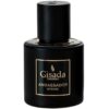 Gisada Ambassador Intense мъжки парфюм EDP - Оригинален продукт