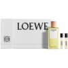 Loewe Agua подаръчен комплект за жени