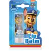 Nickelodeon Paw Patrol Lips балсам за устни за деца Blueberry 4