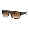 Ray-Ban Унисекс правоъгълни слънчеви очила
