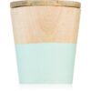 Wax Design Wood Candle Green Tea ароматна свещ 9 см