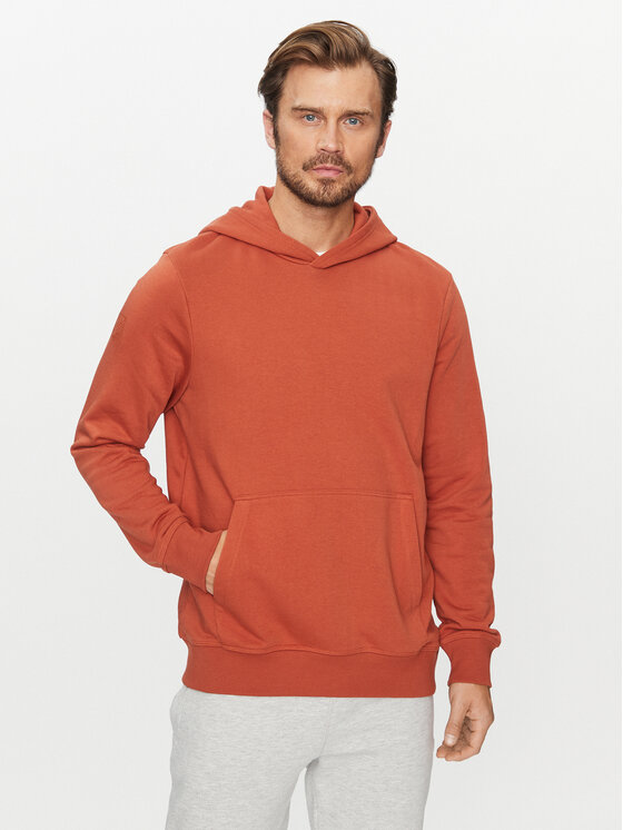 4F Суитшърт 4FAW23TSWSM688 Кафяв Regular Fit за Мъже цена