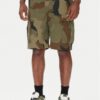 DC Шорти от плат Tundra ADYWS03086 Зелен Regular Fit за Мъже цена