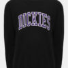 Dickies Суитшърт Aitkin DK0A4XAB Черен Regular Fit за Мъже цена