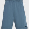 Element Спортни шорти Cornell ELYNS03001 Син Regular Fit за Мъже цена