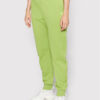 G-Star Raw Долнище анцуг Pacior D21320-C235-D115 Зелен Tapered Fit за Жени цена