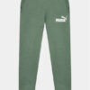 Puma Долнище анцуг Ess Logo 586973 Зелен Regular Fit за Момчета цена