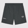 adidas Спортни шорти Sprt Collection HE2086 Сив Regular Fit за Бебета цена