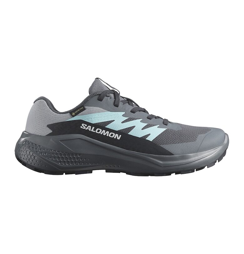 Обувки Alphaglide Gore-Tex за бягане Salomon