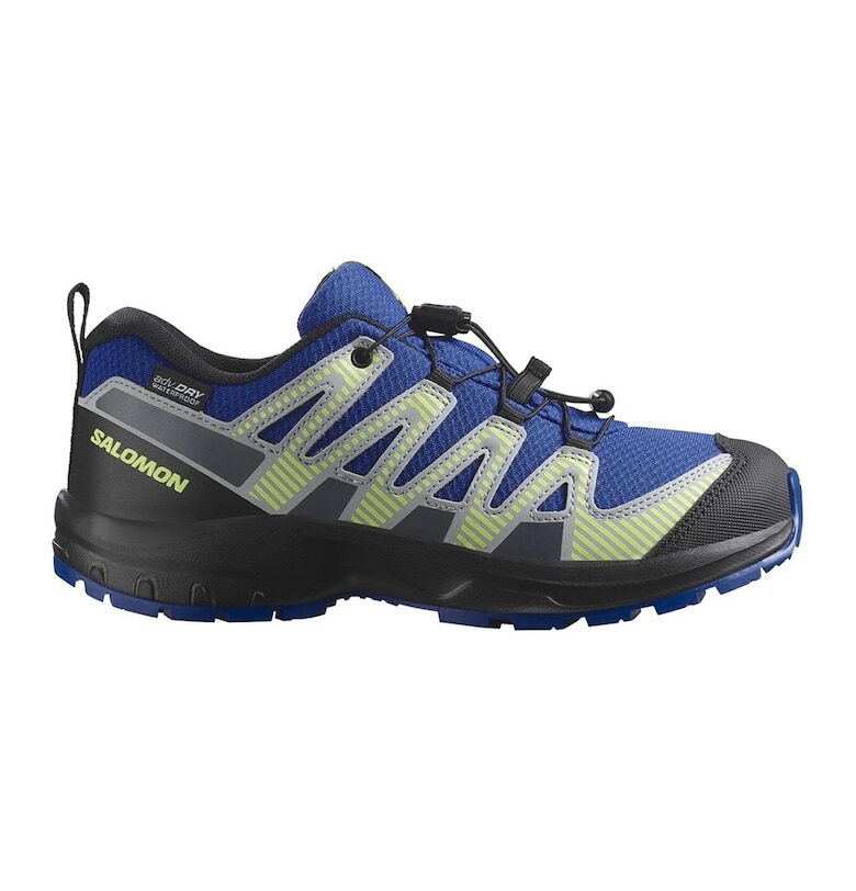 Обувки за трейл XA Pro V8 Salomon
