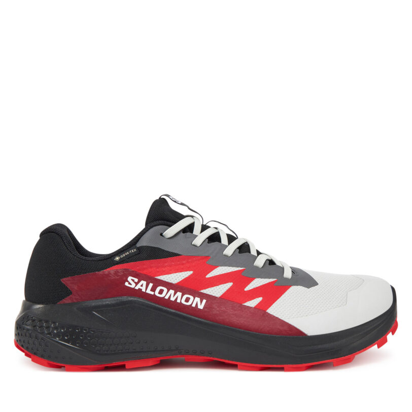 Маратонки за бягане Salomon Alphaglide Gore-Tex L47802200 Сив цвят на ниска цена